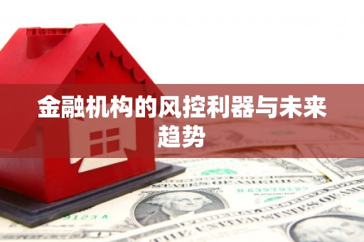 东山金融机构的风控利器与未来趋势