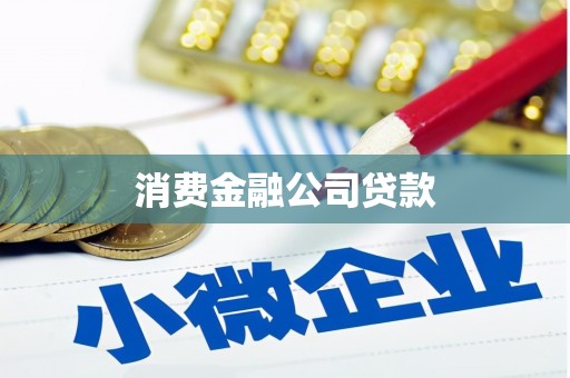 东山消费金融公司贷款