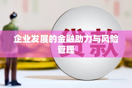 东山企业发展的金融助力与风险管理