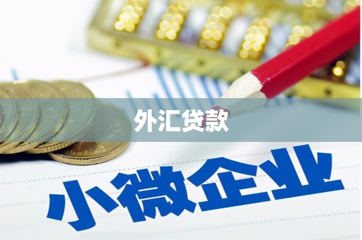 东山外汇贷款
