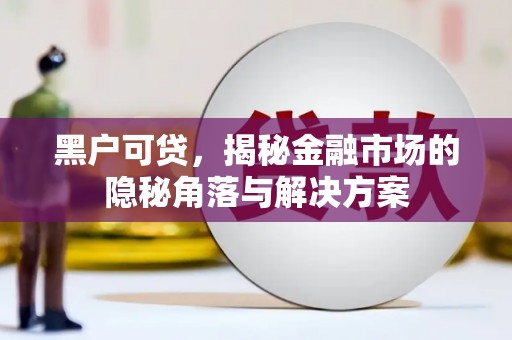 东山黑户可贷，揭秘金融市场的隐秘角落与解决方案