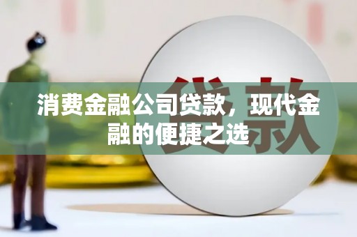 东山消费金融公司贷款，现代金融的便捷之选