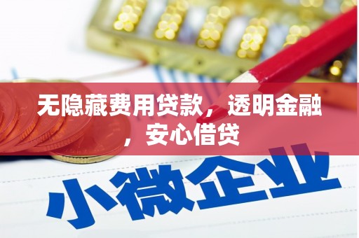 东山无隐藏费用贷款，透明金融，安心借贷
