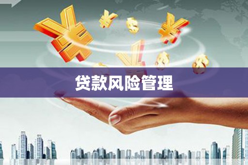 东山贷款风险管理