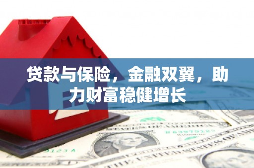东山贷款与保险，金融双翼，助力财富稳健增长