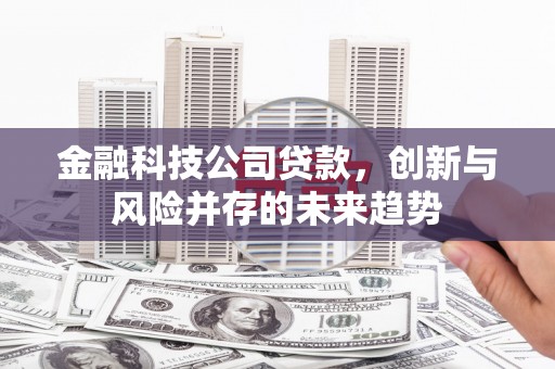 东山金融科技公司贷款，创新与风险并存的未来趋势