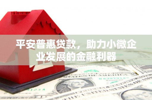东山平安普惠贷款，助力小微企业发展的金融利器