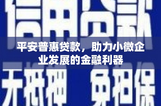 东山平安普惠贷款，助力小微企业发展的金融利器