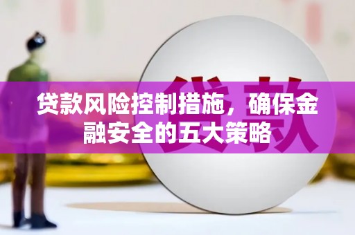 东山贷款风险控制措施，确保金融安全的五大策略