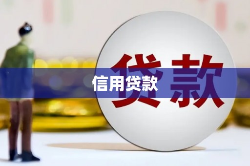 东山信用贷款