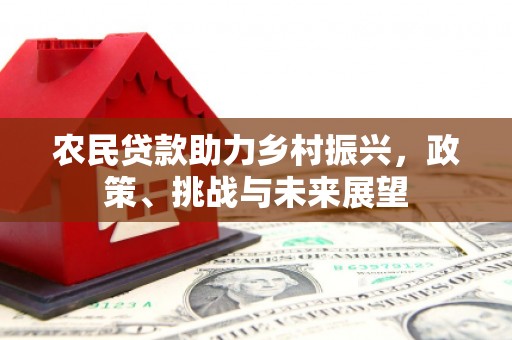东山农民贷款助力乡村振兴，政策、挑战与未来展望