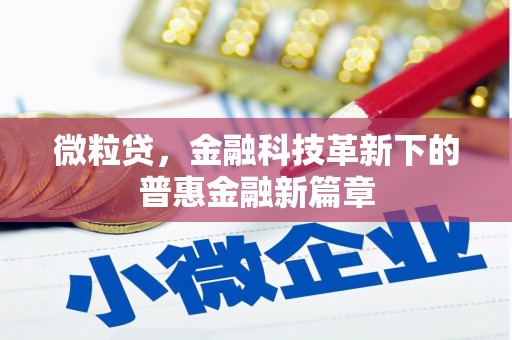 东山微粒贷，金融科技革新下的普惠金融新篇章