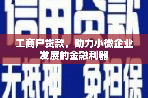东山工商户贷款，助力小微企业发展的金融利器