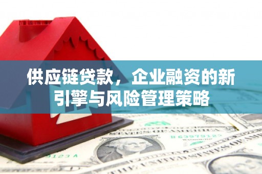 东山供应链贷款，企业融资的新引擎与风险管理策略