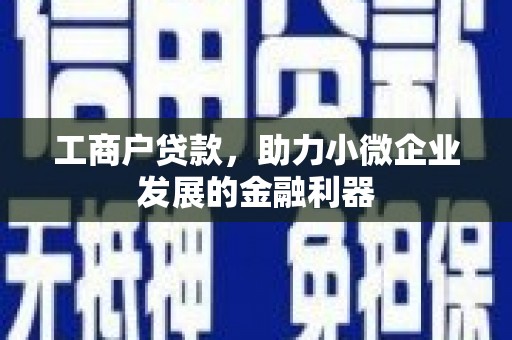 东山工商户贷款，助力小微企业发展的金融利器