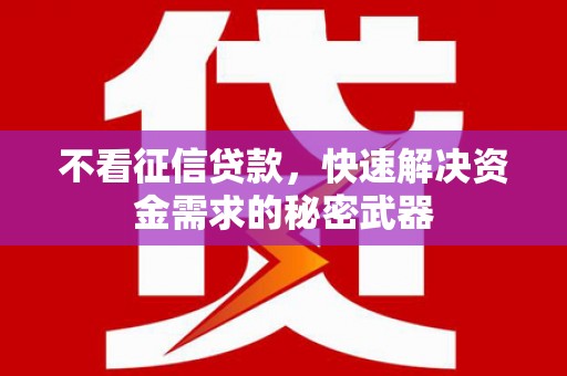东山不看征信贷款，快速解决资金需求的秘密武器