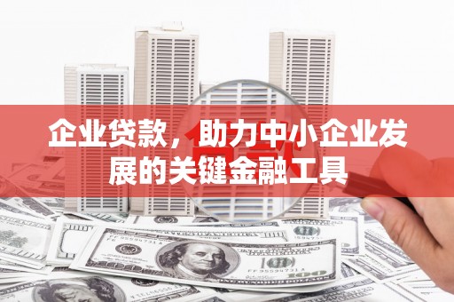东山企业贷款，助力中小企业发展的关键金融工具