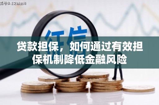 东山贷款担保，如何通过有效担保机制降低金融风险