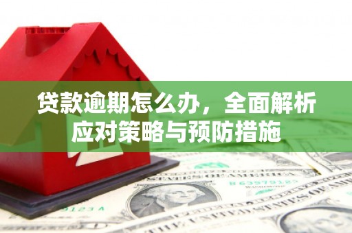 东山贷款逾期怎么办，全面解析应对策略与预防措施