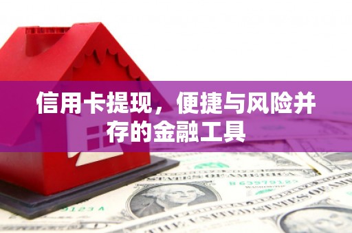 东山信用卡提现，便捷与风险并存的金融工具