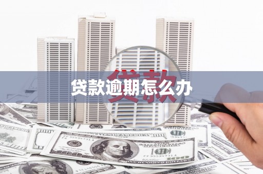 东山贷款逾期怎么办