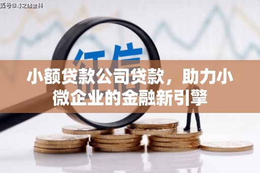 东山小额贷款公司贷款，助力小微企业的金融新引擎