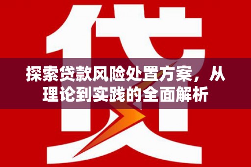 东山探索贷款风险处置方案，从理论到实践的全面解析