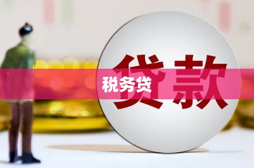 东山税务贷