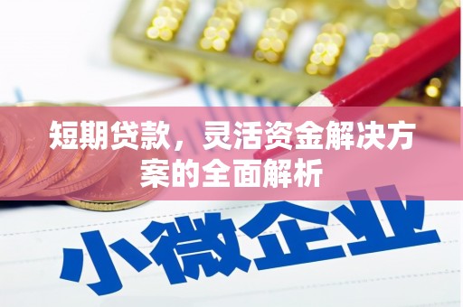 东山短期贷款，灵活资金解决方案的全面解析