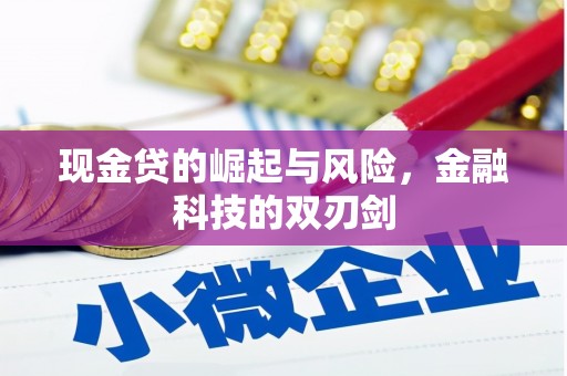 东山现金贷的崛起与风险，金融科技的双刃剑