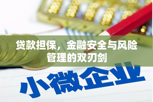 东山贷款担保，金融安全与风险管理的双刃剑
