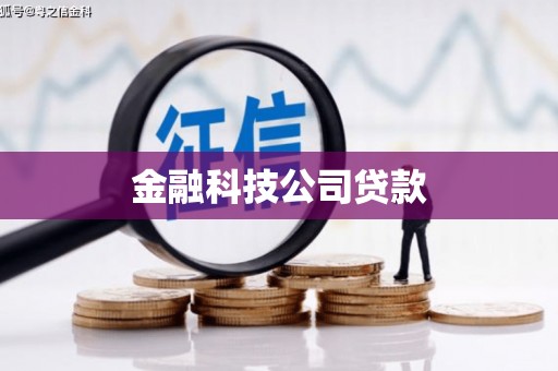 东山金融科技公司贷款