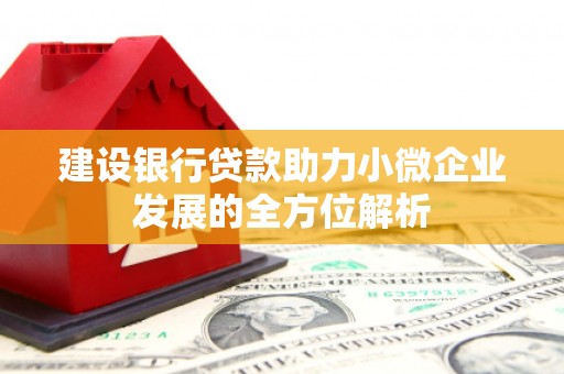 东山建设银行贷款助力小微企业发展的全方位解析