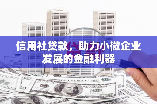 东山信用社贷款，助力小微企业发展的金融利器