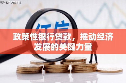 东山政策性银行贷款，推动经济发展的关键力量