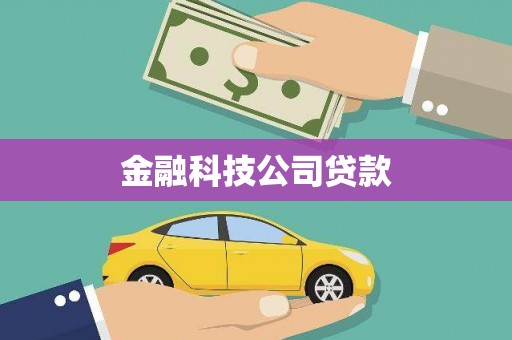 东山金融科技公司贷款
