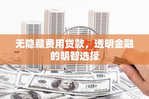 东山无隐藏费用贷款，透明金融的明智选择