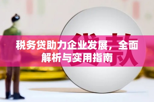 东山税务贷助力企业发展，全面解析与实用指南