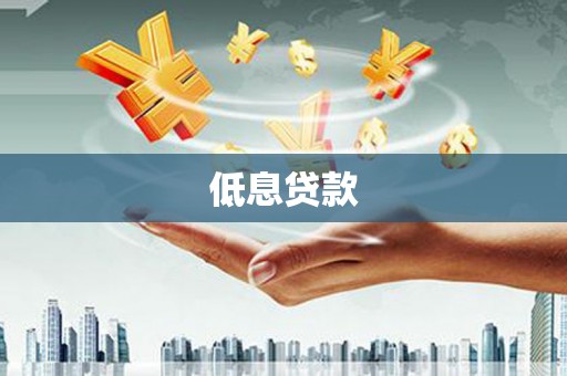 东山低息贷款