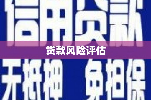 东山贷款风险评估