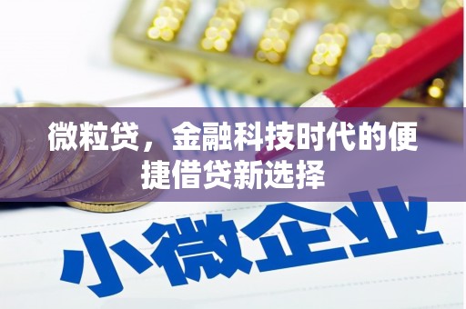 东山微粒贷，金融科技时代的便捷借贷新选择