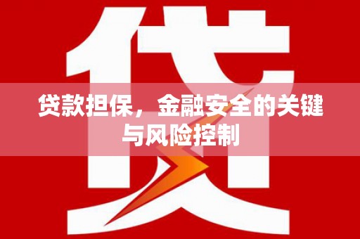 东山贷款担保，金融安全的关键与风险控制