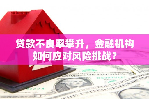 东山贷款不良率攀升，金融机构如何应对风险挑战？