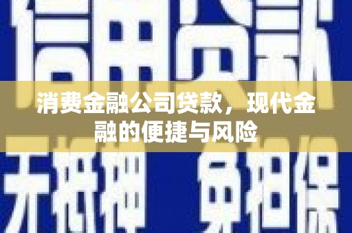东山消费金融公司贷款，现代金融的便捷与风险