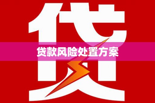 东山贷款风险处置方案
