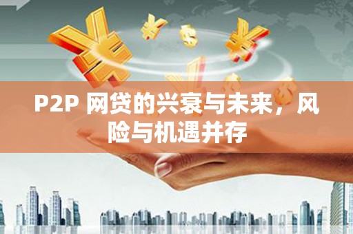 东山P2P 网贷的兴衰与未来，风险与机遇并存