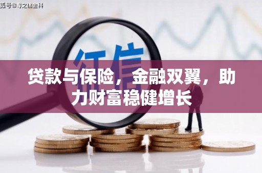东山贷款与保险，金融双翼，助力财富稳健增长