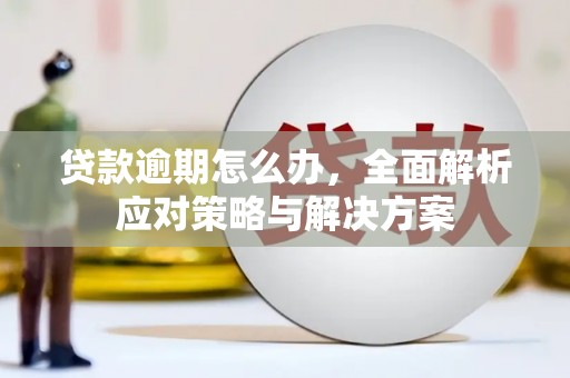 东山贷款逾期怎么办，全面解析应对策略与解决方案